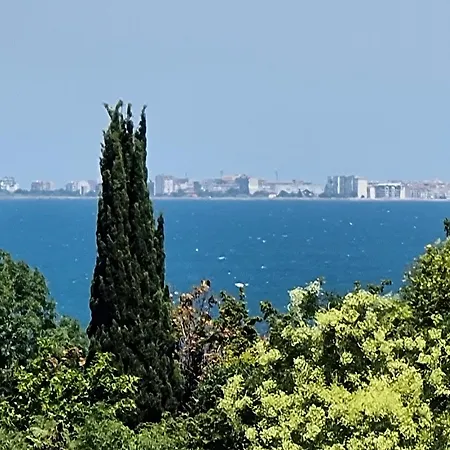 High Mezonet In The Center Burgas City